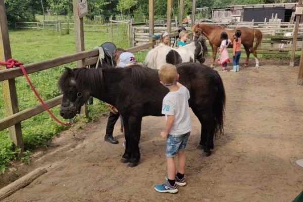 Voor het eerst op de boerderij!