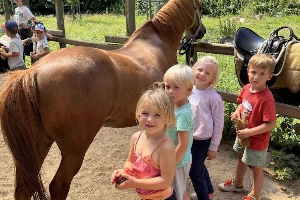 Ponykamp